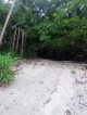 Island property for sale