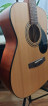 Cort Acoustic Guitar