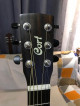 Cort Earth Mini Acoustic Guitar