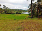 Farm Lot for Sale Bicol Region