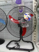 Electric Fan For Sale