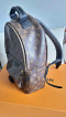 Louis Vuitton Palm Spring Backpack