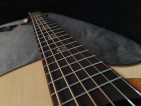 RJ Custom Shop Acoustic Agila Guitar