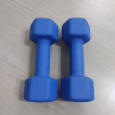 6lbs x 2 (PAIR) Dumbbell Set - Matte Finished (pre-loved)