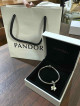 Pandora Bracelet with Charm