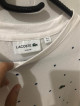 Lacoste Shirt