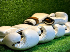 BOXING GLOVES GENUINE LEATHER