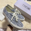 Dior Vans Grey
