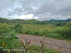 5 hectares farm land with Clean Title