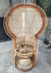 Rattan Peacock Chair