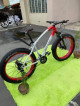 NF FATBIKE