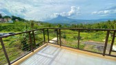 Gorgeous Modern House and Lot in Estanza Legazpi City
