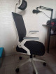 FS-Used but not abused! Ergonomic Chair
