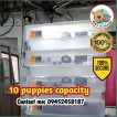 INCUBATOR FOR PUPPIES AND KITTEN