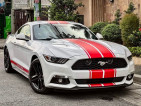 2016 Ford Mustang 2.3L