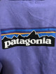 Patagonia Backhit Hoodie in Lavender