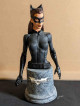 Catwoman The Dark Knight Rises Bust by DC Comics Collectibles