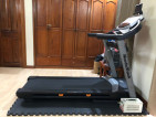 NordicTrack S20 2.75 CHP Treadmill with AVR and Mat