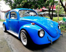 Vw beetle for sale