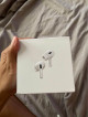 AirPods Pro Second Generation