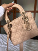 Christian Dior BAG