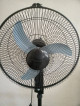 Stand Fan (Dowell)