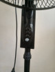 Stand Fan (Dowell)