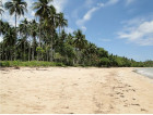 BEACH LOT IN PUERTO PRINCESA PALAWAN FOR SALE - FEW SLOTS LEFT!
