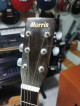 Morris MD 506 acoustic guitar