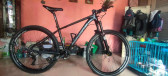 Mountainpeak ninja 27.5