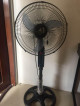 Stand Fan