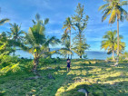 4,000sqm DAHICAN MATI BEACHFRONT FOR SALE