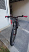 Mountainpeak Storm 29er