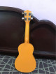 RJ Boracay Ukulele