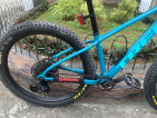 trek roscoe 7