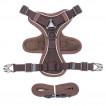 PET HARNESS