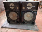 SONY SS-SHAKE100 (SPEAKERS ONLY)