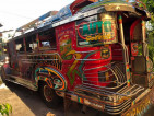 desa jeepney for sale