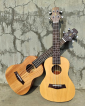 Clifton solid top ukulele