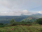 TOURIST FARM LOT IN CLAVERIA