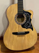 Fernando CAG-200CNA Guitar