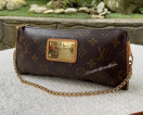 Louis Vuitton Sophie Monogram like eva