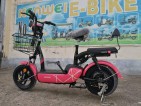 Kenwei E-Bike