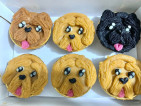 CUPCAKES FOR PETS