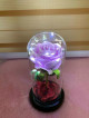 Rose in a glass dome