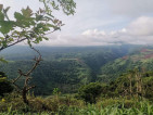 TOURIST FARM LOT IN CLAVERIA