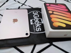 Ipad Mini 6 64gb Wifi Pink