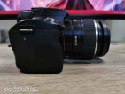 SONY A33