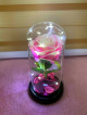 Rose in a glass dome