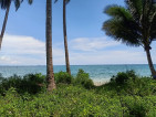 Beach Front and Farm Lot